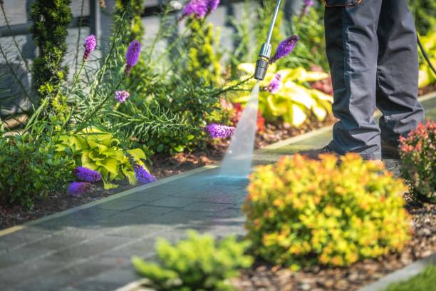 Best Dumpster Area Cleaning  in Ellensburg, WA